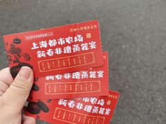 -上海都市菜园