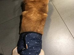 -美美宠物诊疗中心·异宠·骨科(滨江东信分院)