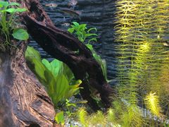 -上海海洋水族馆