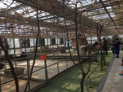 -万源龙顺度假庄园生态观光园