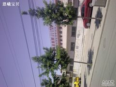 -中国人民解放军第二六三医院