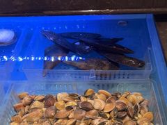 -阿伟海鲜楼·福建菜(延寿店)