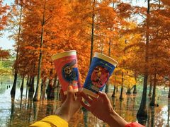 -白鹭湾湿地公园