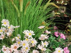 -第101座花园餐厅(湖滨88店)