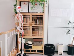 -杏林康桥中医正骨·体态矫正·跌打损伤·推拿按摩(国贸建外SOHO店)