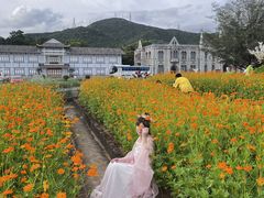 -玫瑰海岸文化旅游度假区