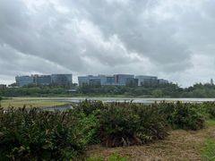 -华侨城湿地公园