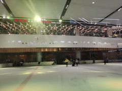 -TheRink大零溜冰场(IFS国金中心店)