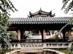 -广东花都湖国家湿地公园