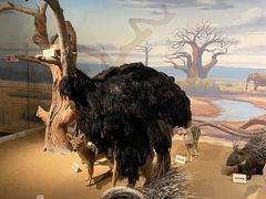 -陕西自然博物馆