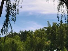 -康庄公园