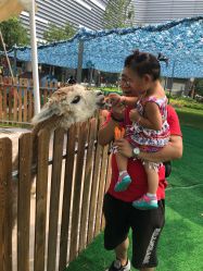 -萌宠亲子动物乐园(槐房万达店)