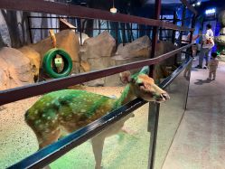 -酷嗒动物文化乐园(cutezoo西溪乐天城店)