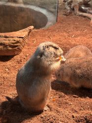 -Zoolung Zoolung动物主题公园(海信广场店)