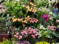 -T11生鲜超市(朝阳公园店)