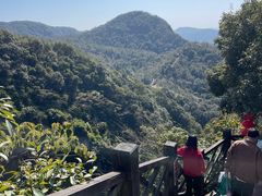 -九鲤湖风景区