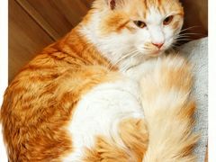 -红茶馆·棋牌·麻将(王庄店)