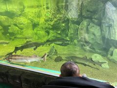 -华夏文旅海洋公园