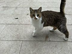 -哈根达斯(皇城恒隆广场店)