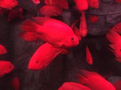 -泉城欧乐堡海洋极地世界
