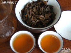 02-大可堂普洱茶馆(襄阳南路馆)