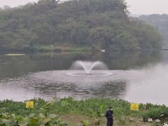 -重庆彩云湖湿地公园