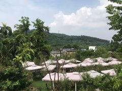 -桃源山庄·烤全羊·柴火鸡·烧烤团建(龙泉山店)