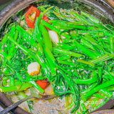 地道广式，先从啫苑·头牌啫煲开始！
