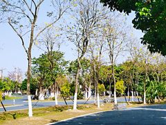 -琅岐红光湖公园