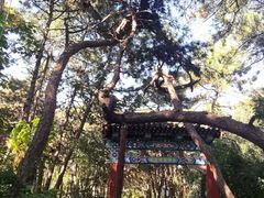 -红螺寺
