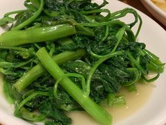 炒藤藤菜-曾牛肉
