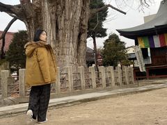 -医王山·飞騨国分寺