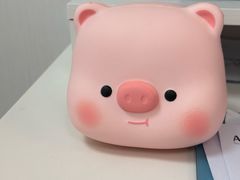 -瑞尔齿科(南京东路名人诊所)