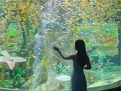 -合肥海洋世界