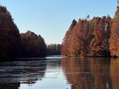 -上海海湾国家森林公园