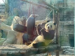 景点-北京动物园