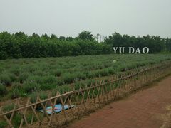 -渔岛海洋度假区