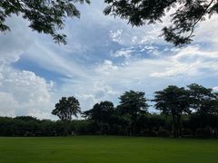 -顺峰山公园