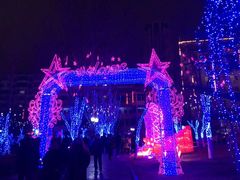 -雁滩公园