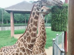 -石家庄市动物园