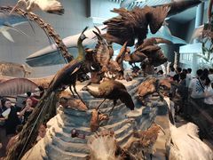 -上海博物馆(人民广场馆)