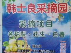 -韩士良采摘园