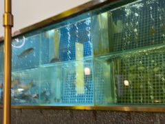 -顺峰顺水顺德菜(龙华店)