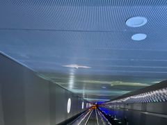 -白鹤梁水下博物馆