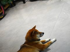 -NOTBAD 须时·咖啡馆