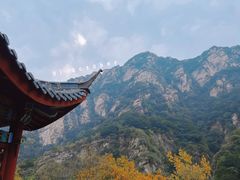 -黑龙潭风景区