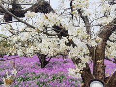 -江苏三台山国家森林公园