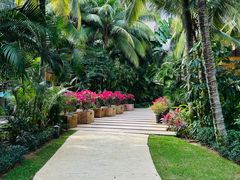 -三亚湾海居铂尔曼度假酒店