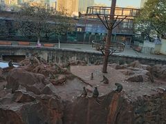 -昆明动物园