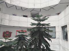 -天籁艺术高考培训学校·重庆艺考集训